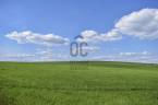 3202279